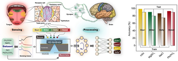 U020250714619269143433.jpg 星天地