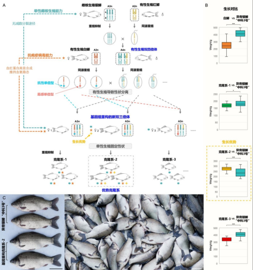U020250715560492485205.jpg 星天地