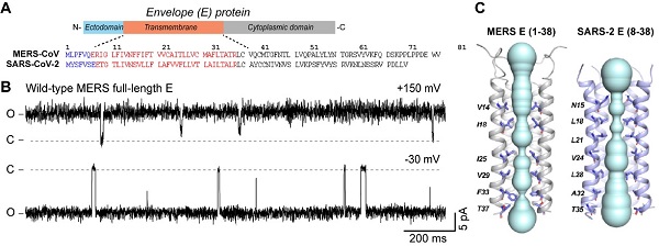 U020250715690846317194.jpg 星天地