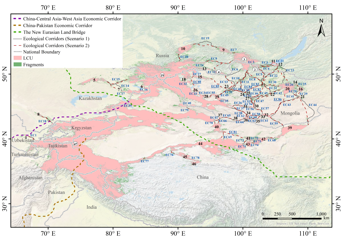 U020250717651479209457.png 星天地