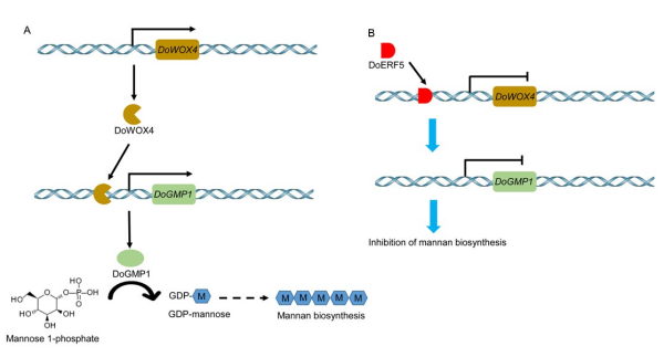 U020250718262313928397.jpg 星天地