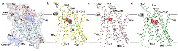 U020250718368751200961.png 星天地