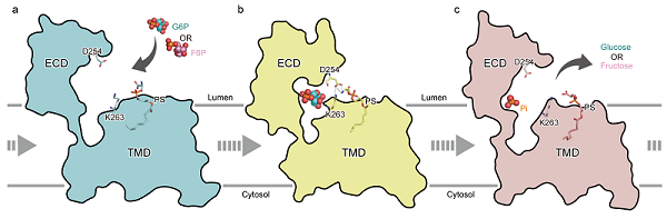 U020250718368755017844.png 星天地