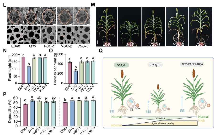U020250718530133780715.jpg 星天地