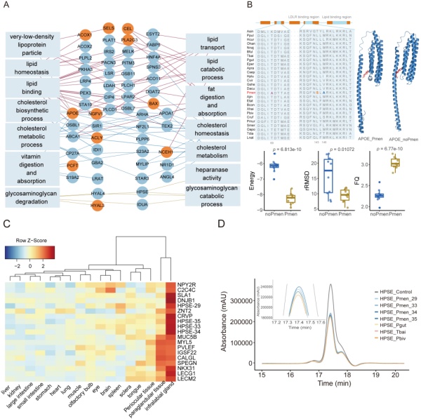 U020250718392972241196.png 星天地