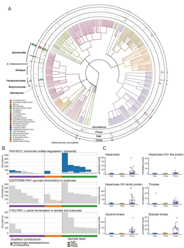 U020250718392972536615.jpg 星天地
