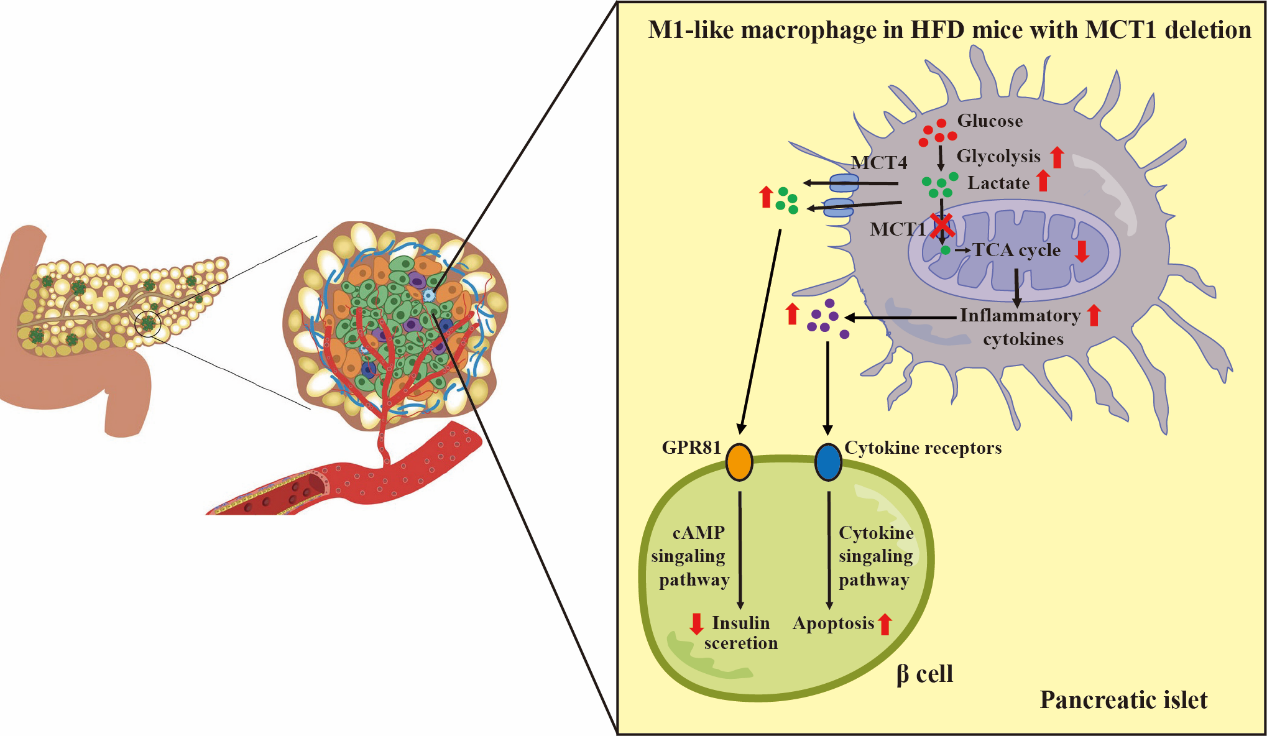 U020250719450507473188.png 星天地