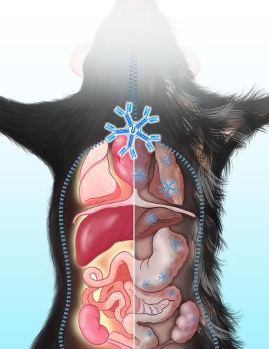 U020250718602336101185.png 星天地