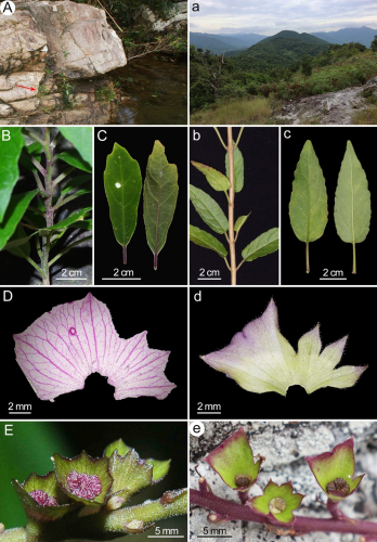 U020250720455662076051.jpg 星天地