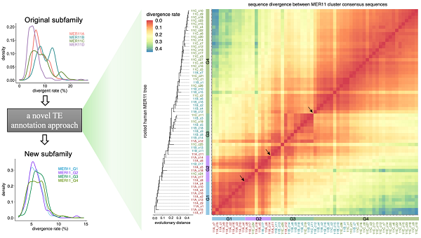 U020250722317541825668.png 星天地