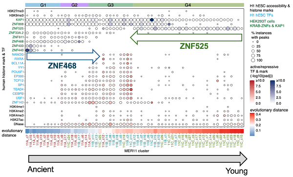 U020250722317542258454.png 星天地