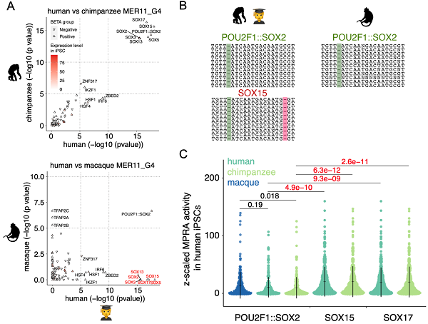 U020250722317542502235.png 星天地