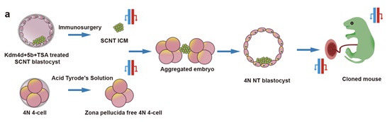 U020250721523336550465.jpg 星天地