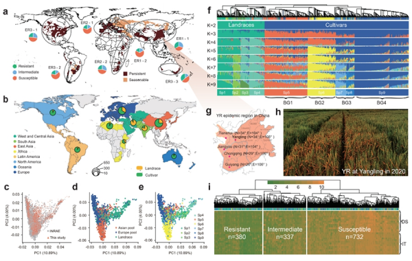 U020250723813241041081.jpg 星天地