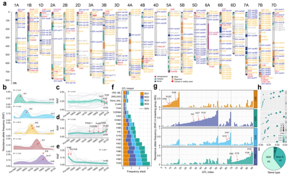 U020250723813241511507.jpg 星天地