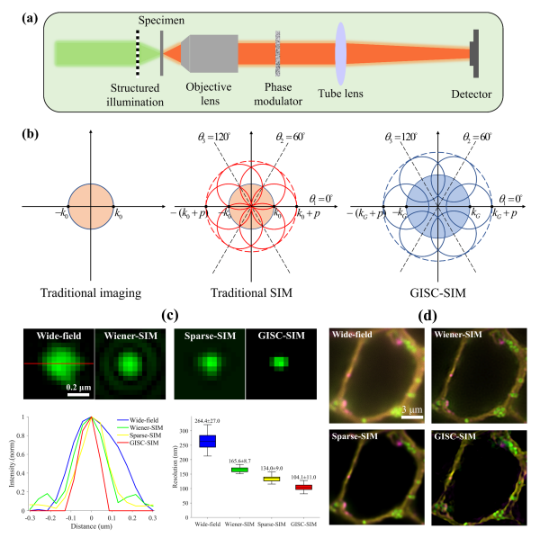 U020250724496441255986.png 星天地