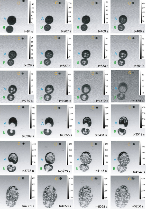 U020250726533297035183.jpg 星天地