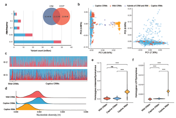 U020251010357268975523.png 星天地