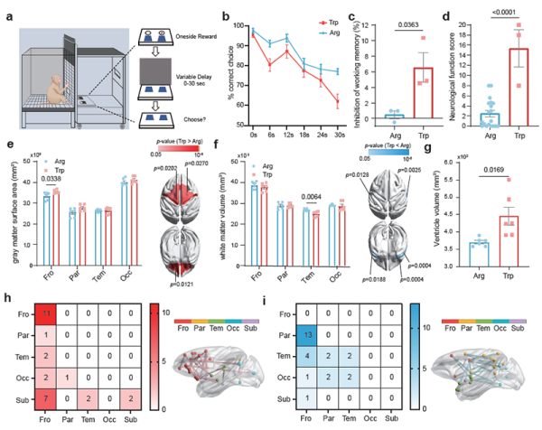 U020251010357269640686.png 星天地