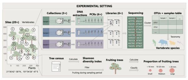 U020251014376291496080.jpg 星天地