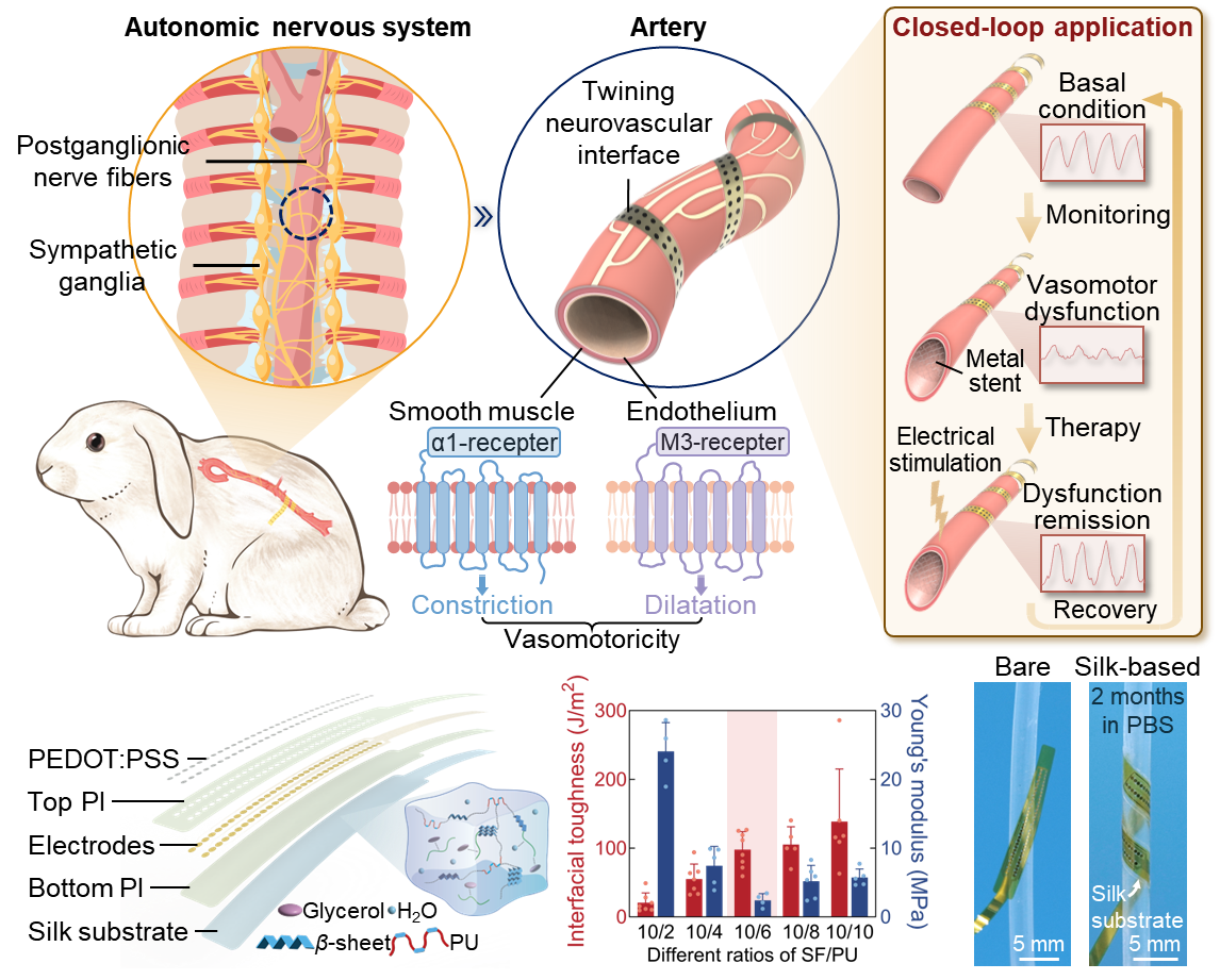 U020251015554201253742.png 星天地
