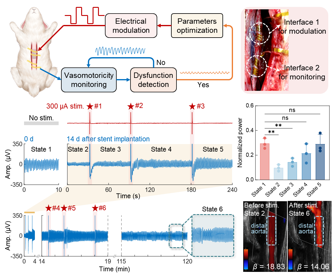 U020251015554202051937.png 星天地