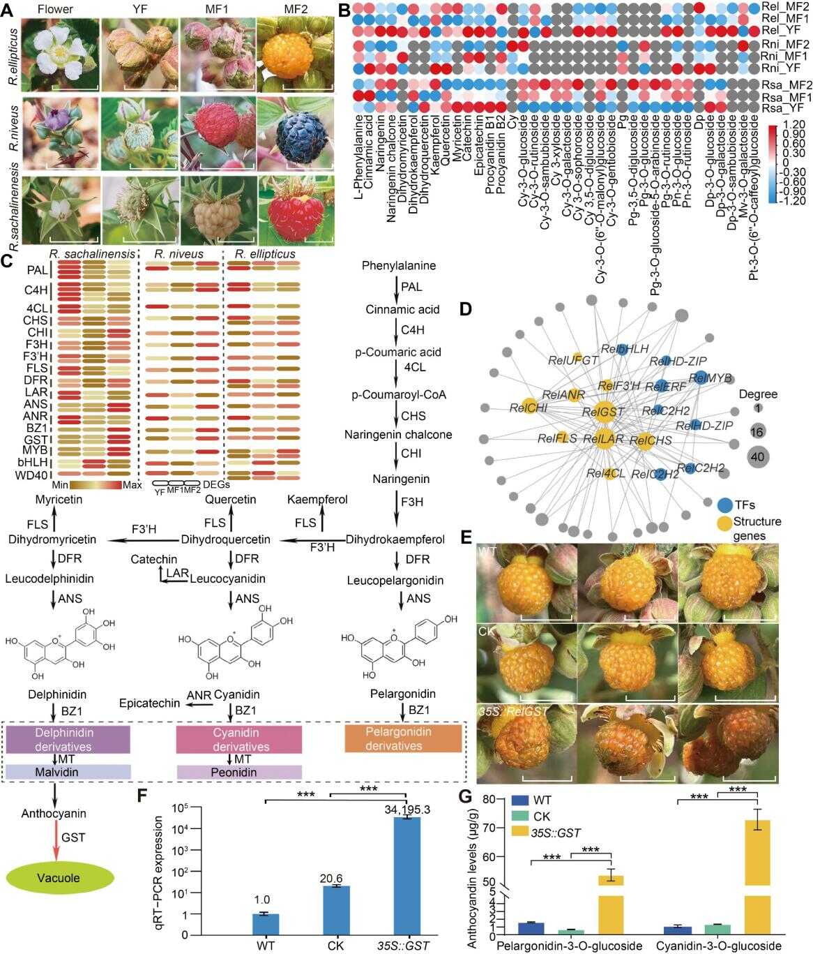 U020251016520580957409.png 星天地