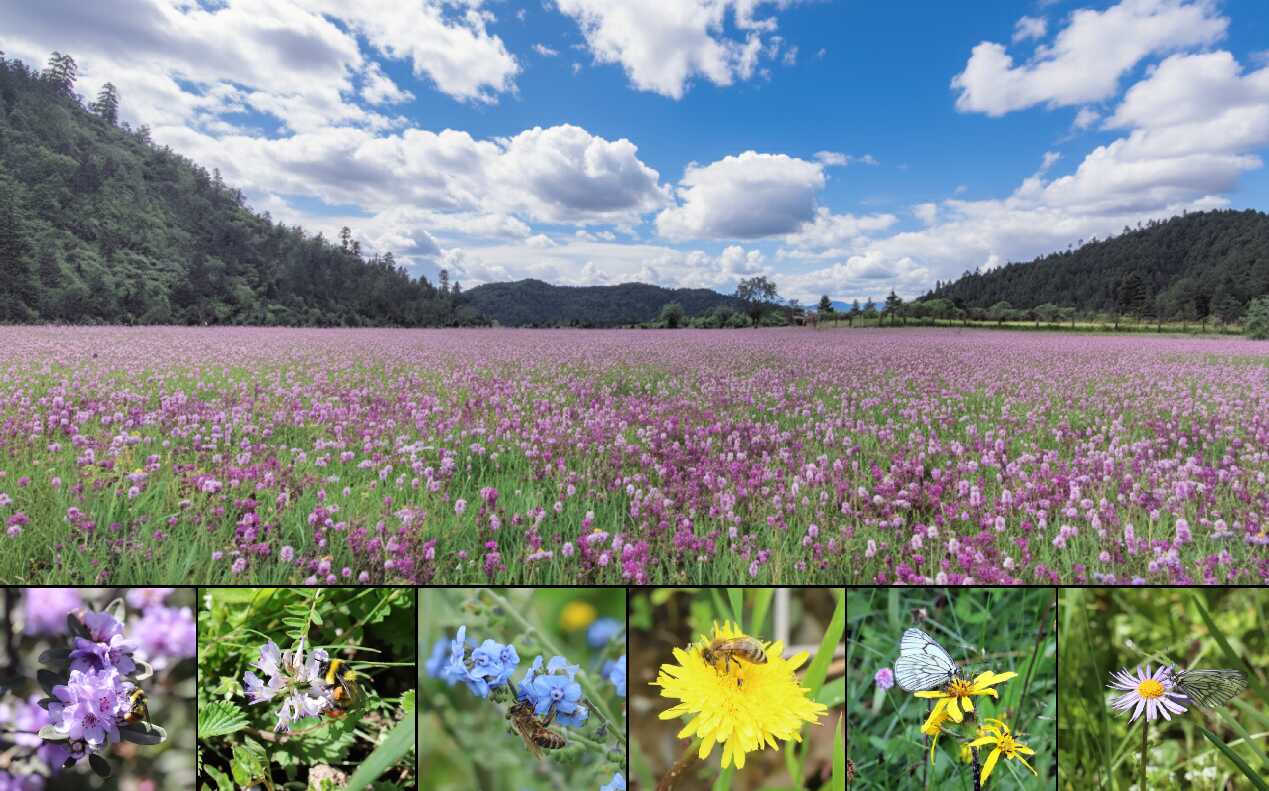 U020251016545997821245.png 星天地