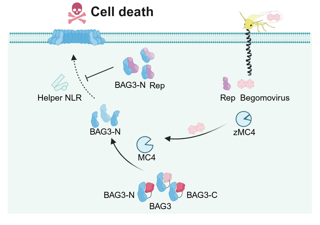 U020251017354064723331.jpg 星天地