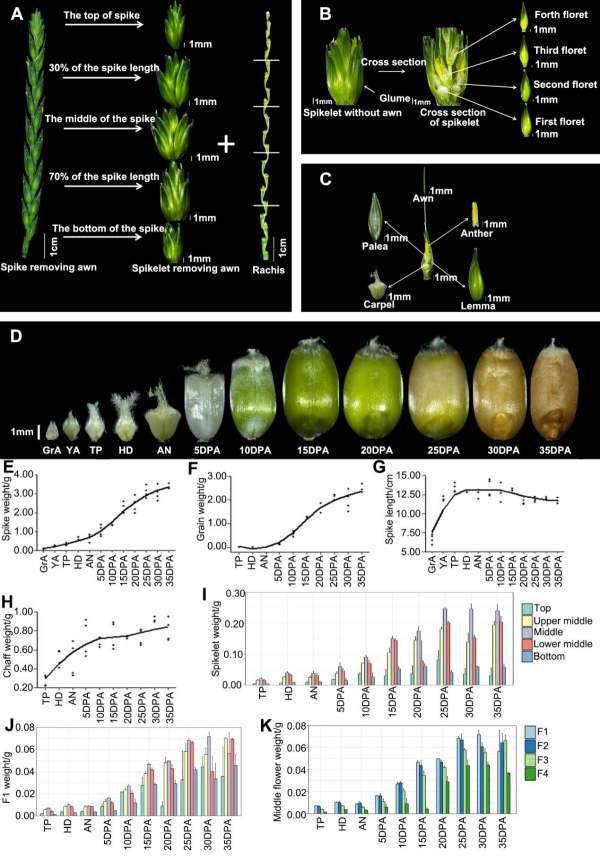 U020251021358399528514.jpg 星天地