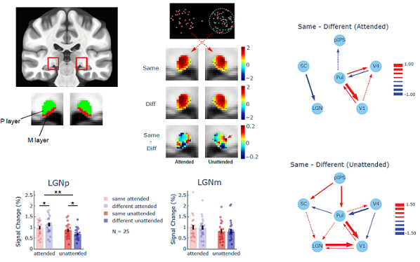 U020251022349540003703.png 星天地