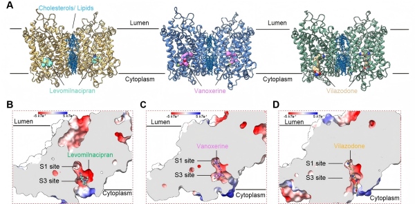 U020251027404619539346.jpg 星天地