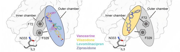 U020251027404620140731.jpg 星天地