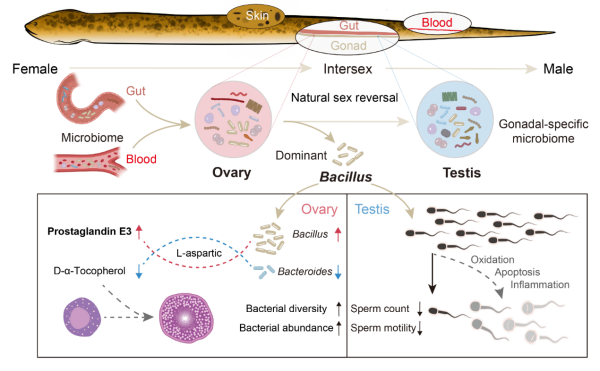 U020251027559650617820.png 星天地