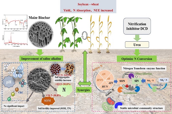 U020251028578036737069.jpg 星天地