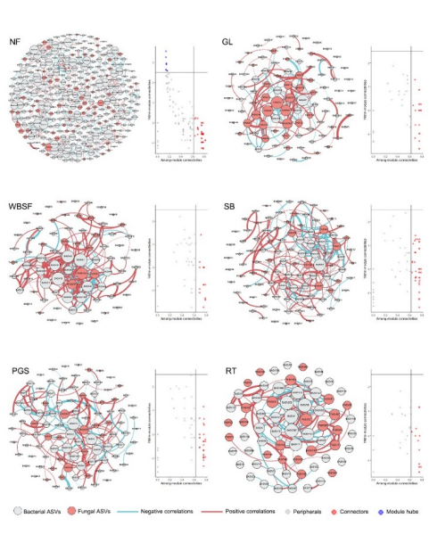 U020251028712721943769.jpg 星天地