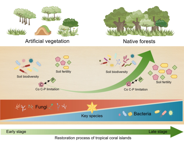 U020251028712722322893.jpg 星天地