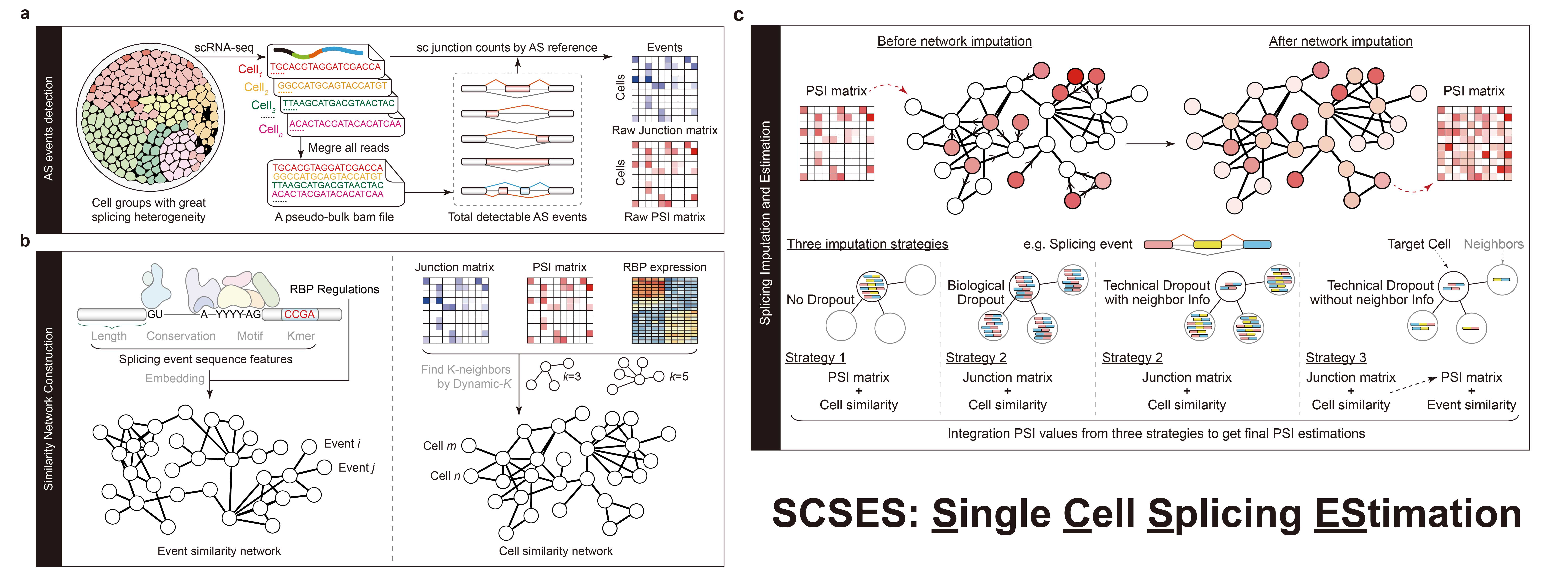 U020251030347194433244.png 星天地