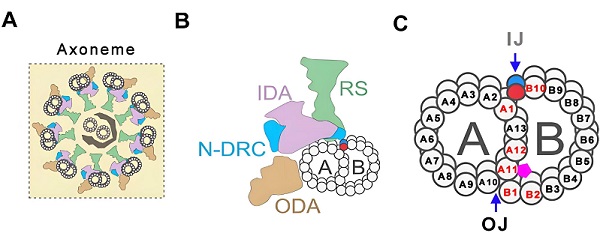 U020251029350981269525.jpg 星天地