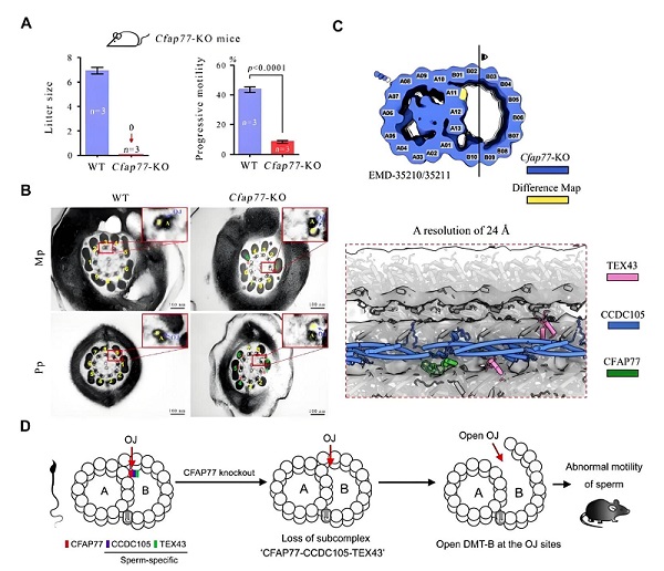 U020251029350981659080.jpg 星天地