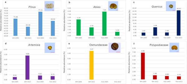 U020251029608897247153.jpg 星天地