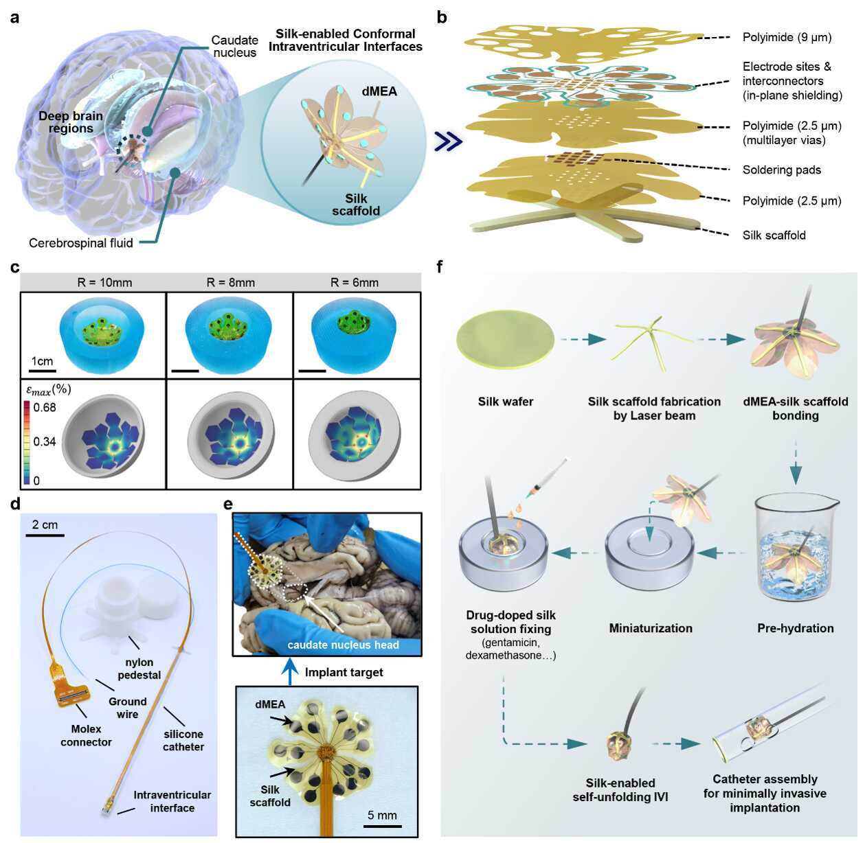 U020251030328738090829.png 星天地