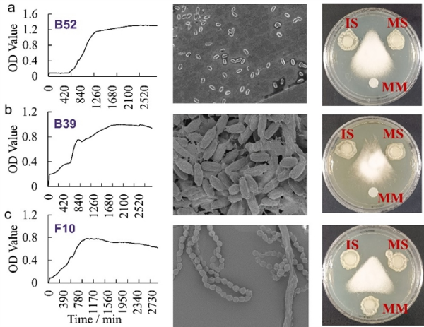 U020251030861320958473.jpg 星天地