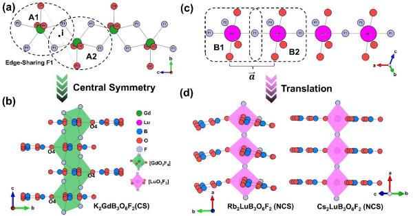 U020251031848590066972.jpg 星天地