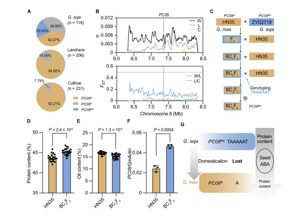 U020251104216183915430.jpg 星天地