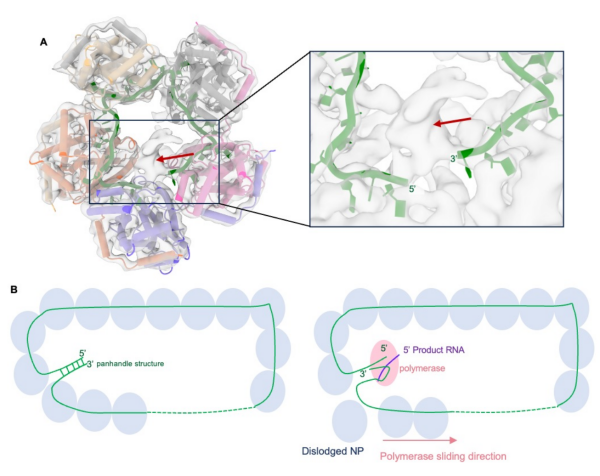 U020251105421409934206.png 星天地