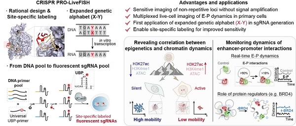 U020251107328220191735.jpg 星天地