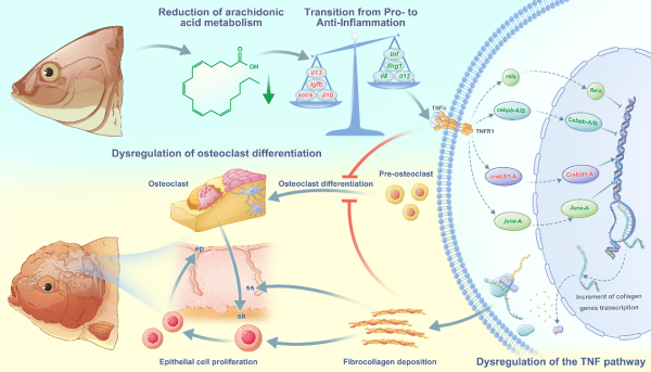 U020251106539785032455.png 星天地