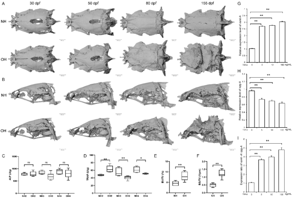 U020251106539785438995.png 星天地