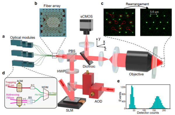 U020251107812060007711.png 星天地
